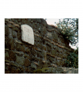 13.cibele_013_300dpi_6x8_avec_bordure_blanc